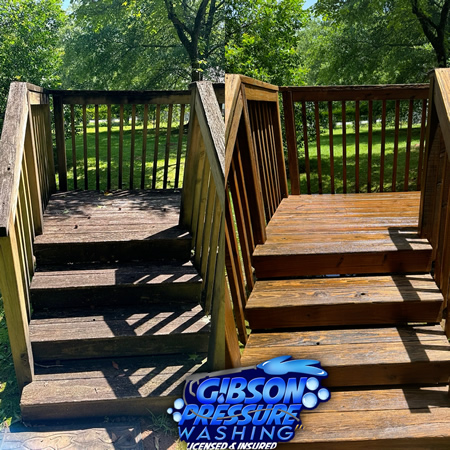 Deck and fence cleaning without fuzzing or feathering pro psi and chemical tips